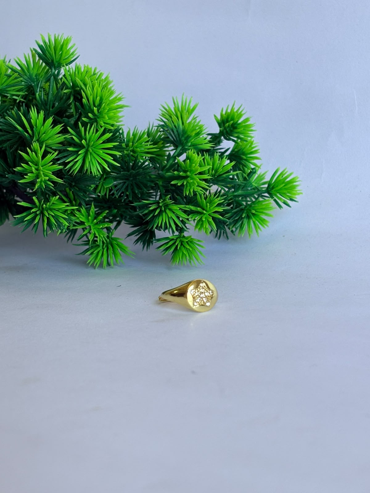 Product 209